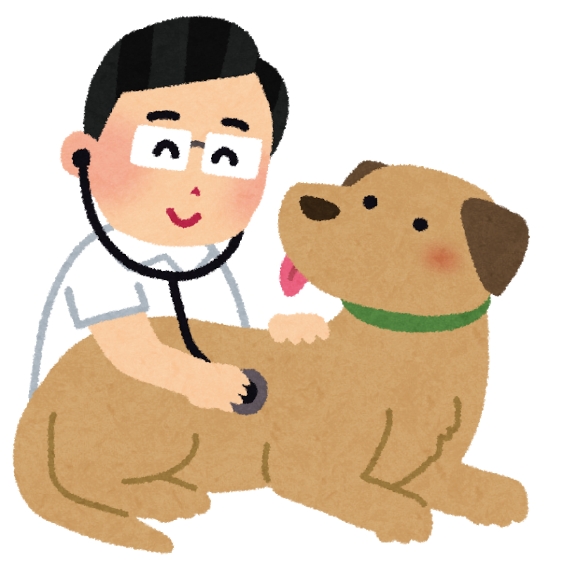 獣医師監修 犬にも起こる食物アレルギー 対処法や適切なドッグフードは