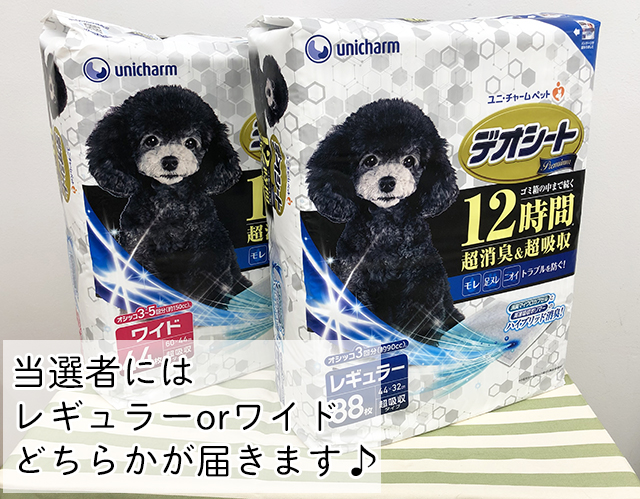 present画像