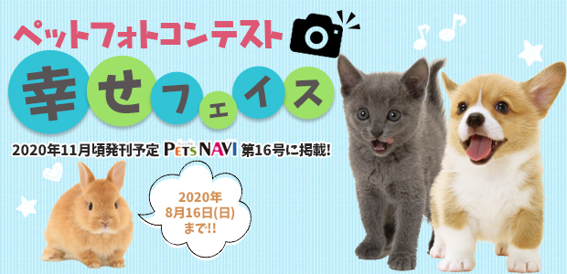 15号フォトコン募集画像