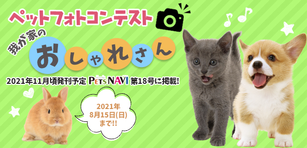 17号フォトコン募集画像