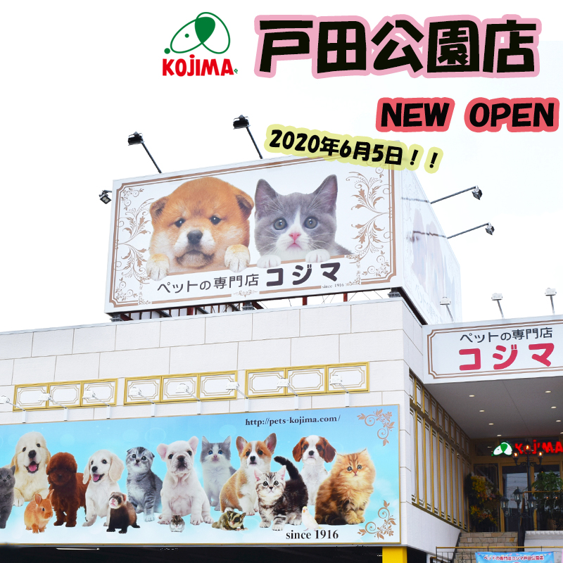 ペットの専門店コジマ 戸田公園店がオープン！店内リポート＆お得情報をお届け♪