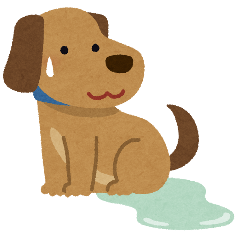 【ドッグトレーナー監修】犬が急にトイレをできなくなった？失敗の理由と対処法｜犬の総合情報サイト ペットスマイル