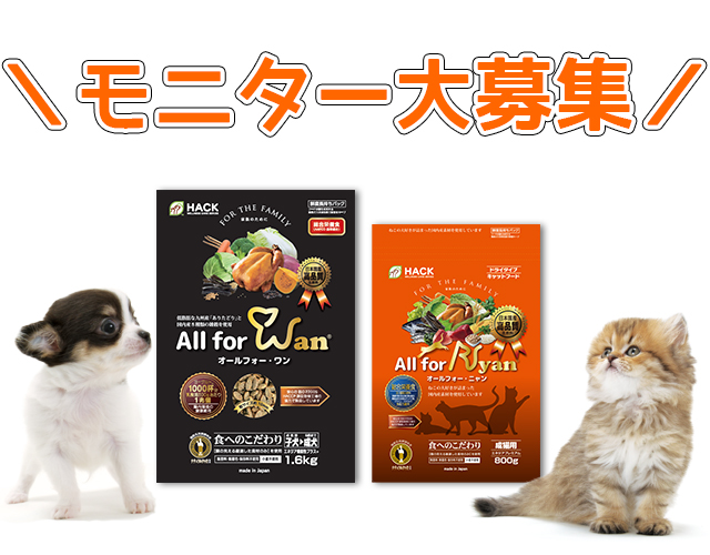 モニター募集