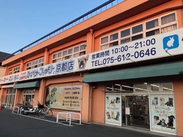 京都10 外観