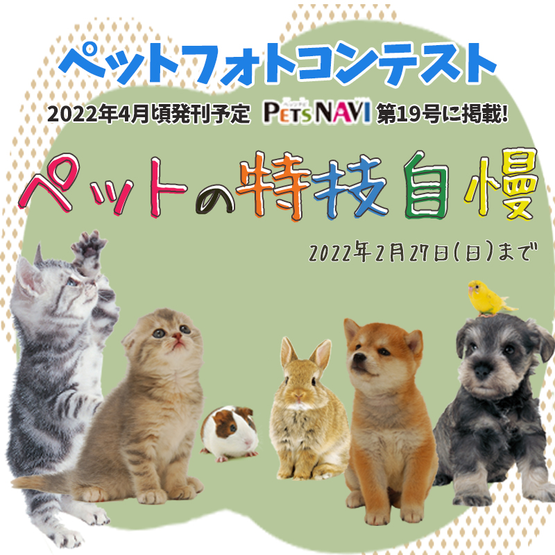 選ばれたらペットの専門店コジマ情報誌に掲載！『ペットの特技自慢』フォトコン開催中