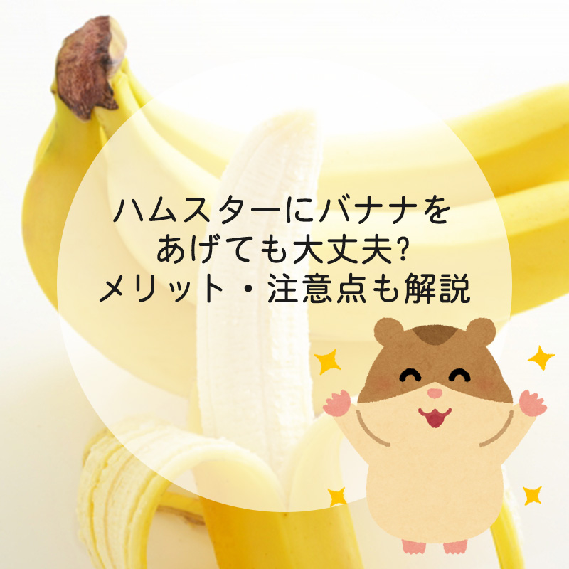 バナナ れる 犬 食べ