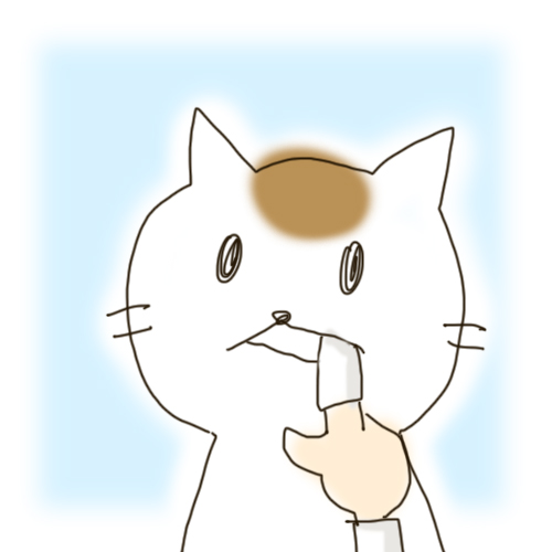 猫の歯磨き04