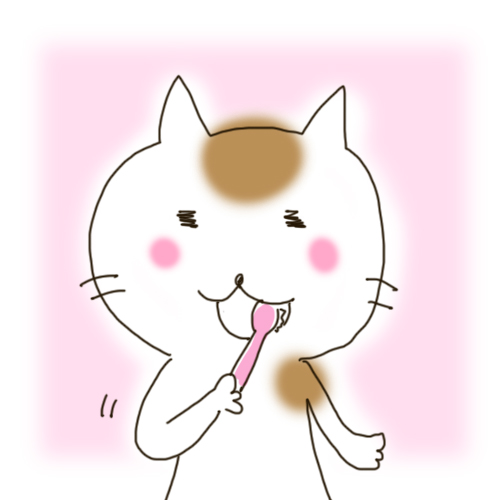 猫の歯磨き05