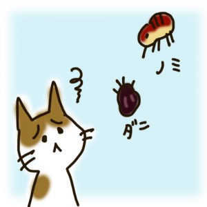 ノミダニに困る猫ちゃん