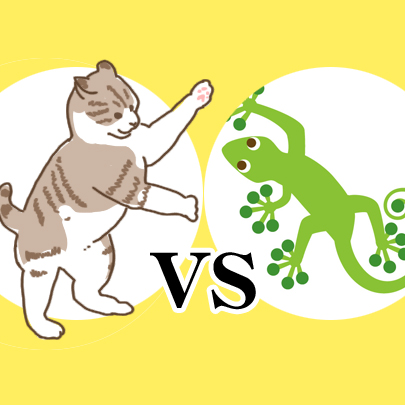 【動画】猫とトカゲの戦いが面白すぎるww