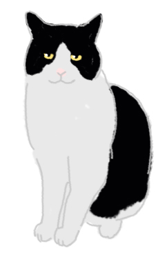ブラック&ホワイト猫のイラスト
