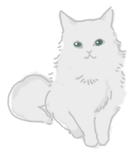ソリッド・ホワイト猫のイラスト