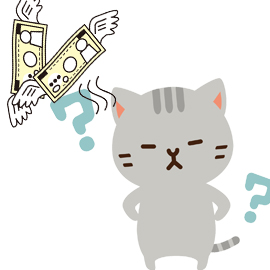 猫との暮らし!!生涯かかる費用を考えてみよう