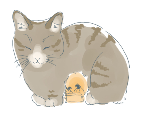 猫かまくら