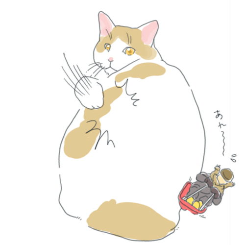 猫滑り1