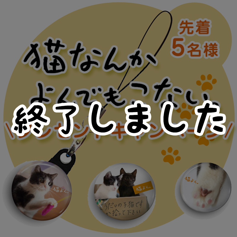 【応募終了】先着5名様限定！『猫なんかよんでもこない』オリジナルグッズプレゼントのご紹介♪