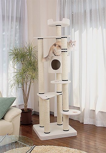 猫の運動には高さを楽しめるキャットタワーが最適 (1)