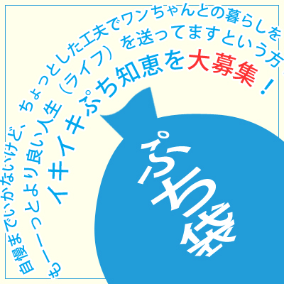 良い人生（ライフ）を送るための我が家のイキイキぷち知恵を大募集！