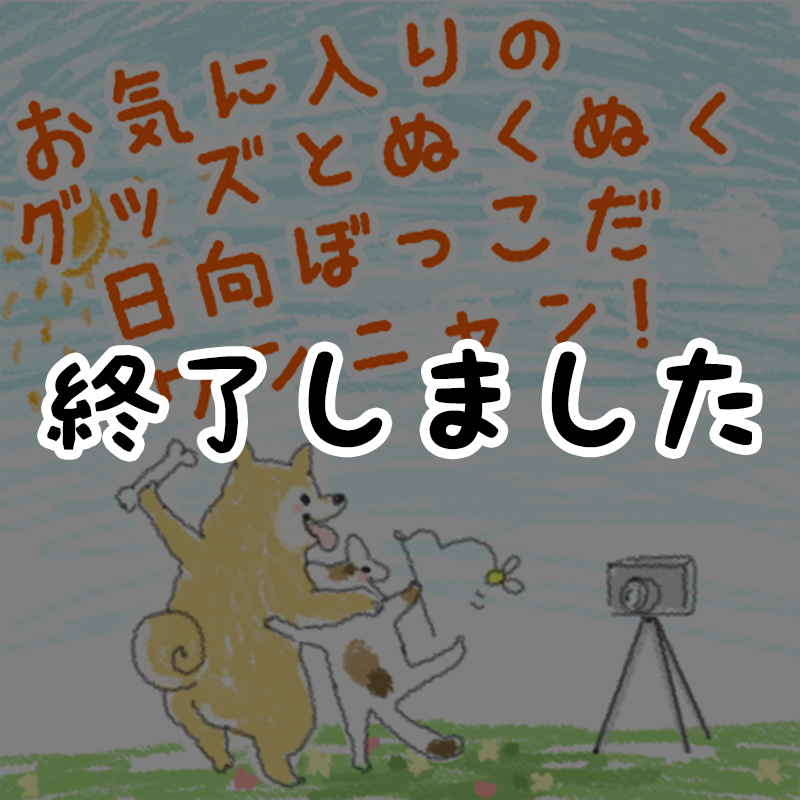 ペットスマイルフォトコンテスト！『お気に入りのグッズとぬくぬく日向ぼっこだニャン！』