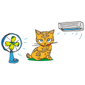 猫にとって適切な湿度とは？じめじめした湿気の対処法
