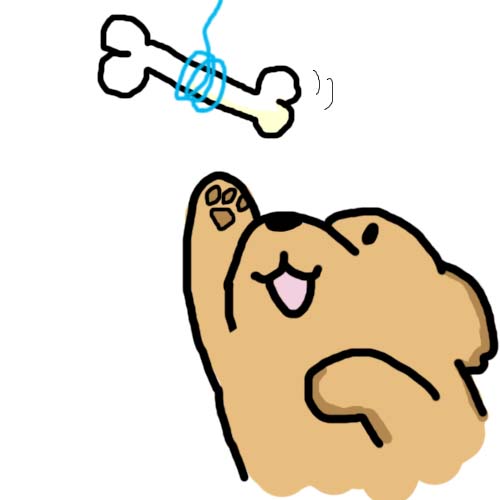 犬の味覚1