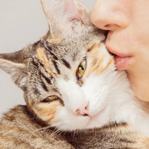 【海外】あなたの猫ちゃんはキス好き？気まぐれな猫への愛情表現