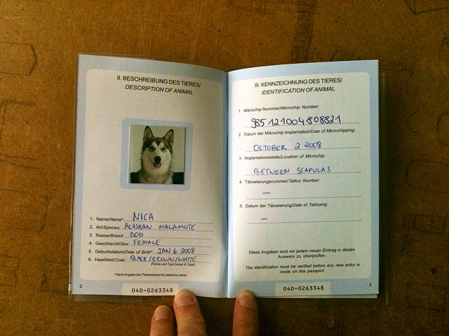 ペットのパスポート