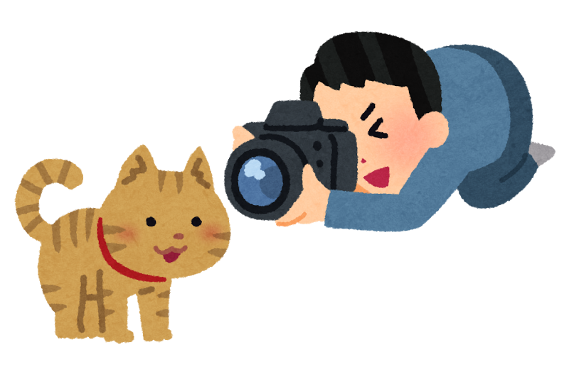 カメラで猫を撮る男性