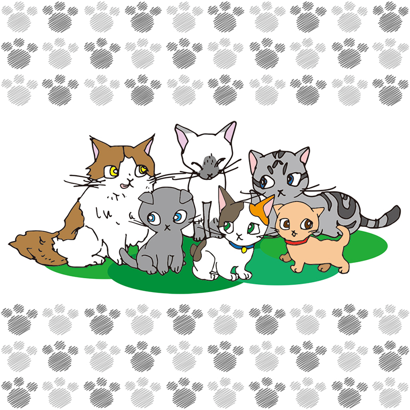 【猫の種類】有名な猫種から珍しい猫種まであなたはいくつ知ってる？