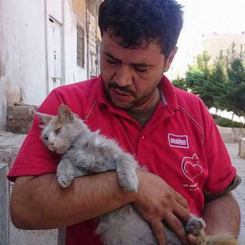 【感動】内戦が続くシリアの街に取り残された猫たち…たった一人、彼らを世話する男性が話題に