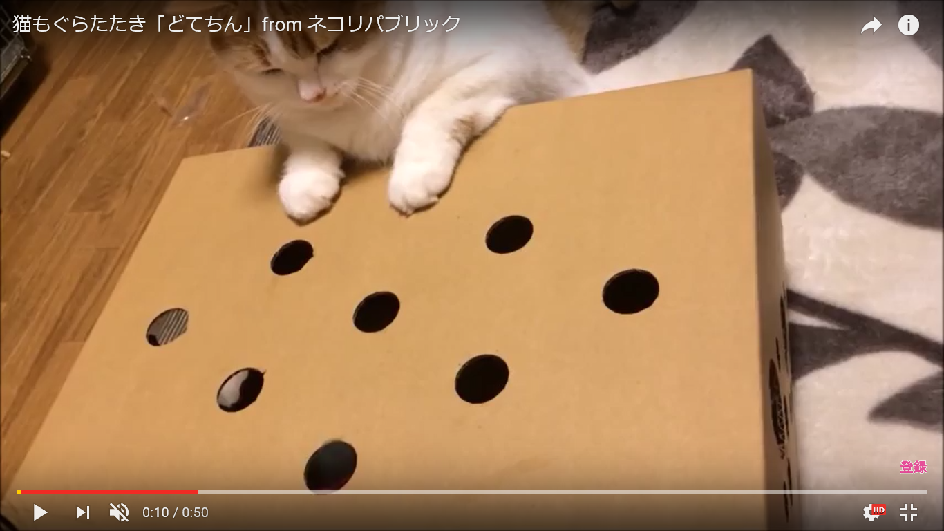 癒し動画 うぉ もぐらたたき職人にゃんこの高速パンチがかわいすぎるｗｗｗ 猫の総合情報サイト ペットスマイルニュースforネコちゃん