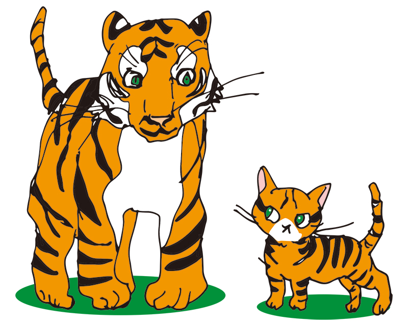 虎とトイガーの模様の比較