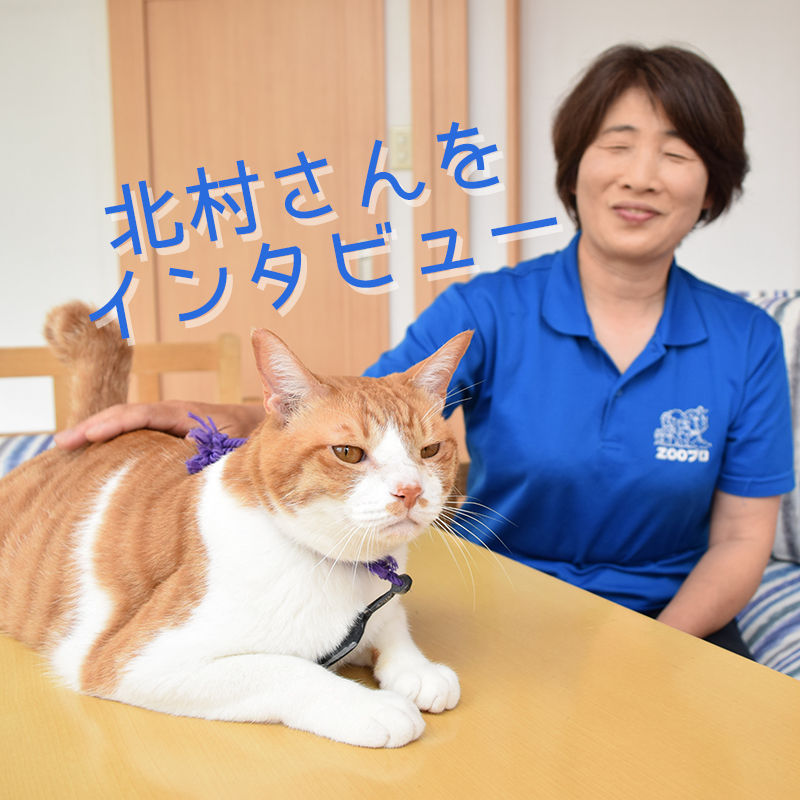 「オトナ女子」「ねこタクシー」「猫侍」「猫忍」、の作品でワンちゃん、猫ちゃんの心のケアをするトレーナー北村まゆみさんにインタビューしました！