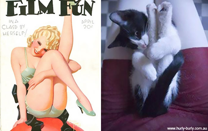 cats-vintage-pin-up-girls-1-586666d196945__700