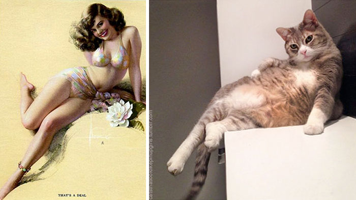 cats-vintage-pin-up-girls-28-586667004aa62__700