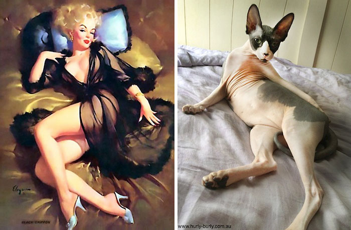 cats-vintage-pin-up-girls-33-5866670a89b27__700