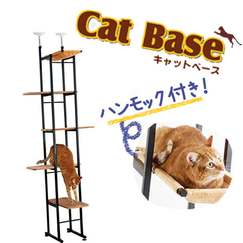 【大型猫でも安心・安全】小スペースでしっかり上下運動♪「キャットベース」に注目!!