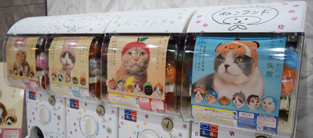 神奈川県に2店舗のみ 猫のかぶりものが全シリーズが揃うねこランドがコジマベイタウン横浜本牧店に登場 猫の総合情報サイト ペットスマイルニュースfor ネコちゃん