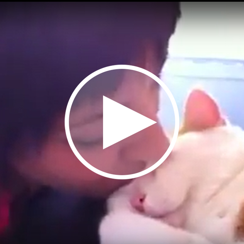 【癒し動画】大好きなご主人様にキスをされたら「にゃあ♡」と言わずにはいられない猫ちゃん