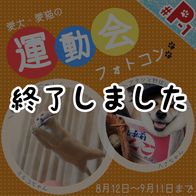 【応募終了】愛犬・愛猫の運動会フォトコンテスト♪運動の秋を盛り上げる写真を大募集！！