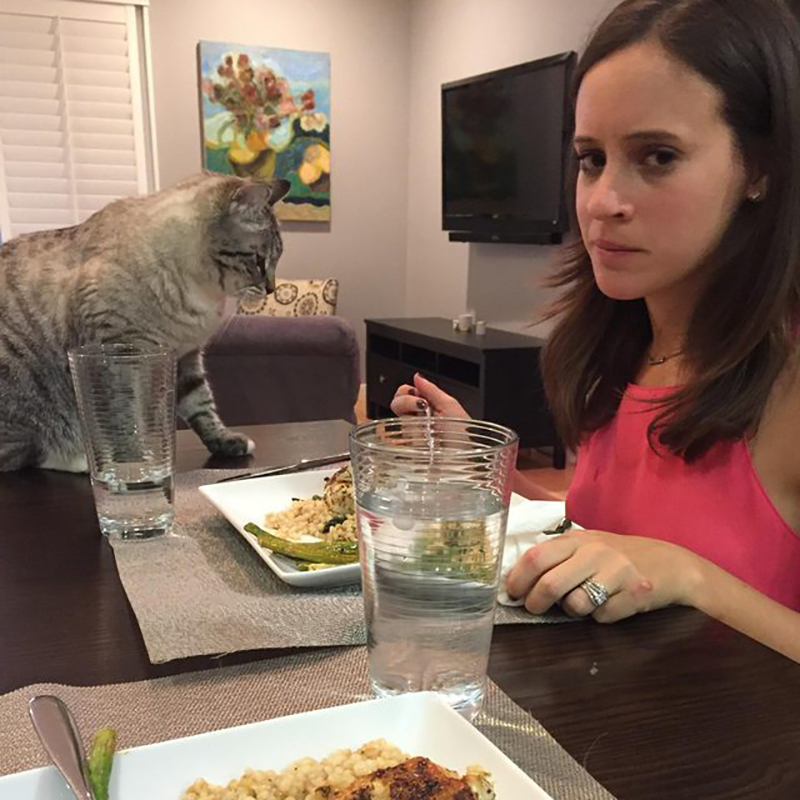 2年間ひたすら飼い主さんの食事を見守り続ける猫。ほっこりするその理由とは！？