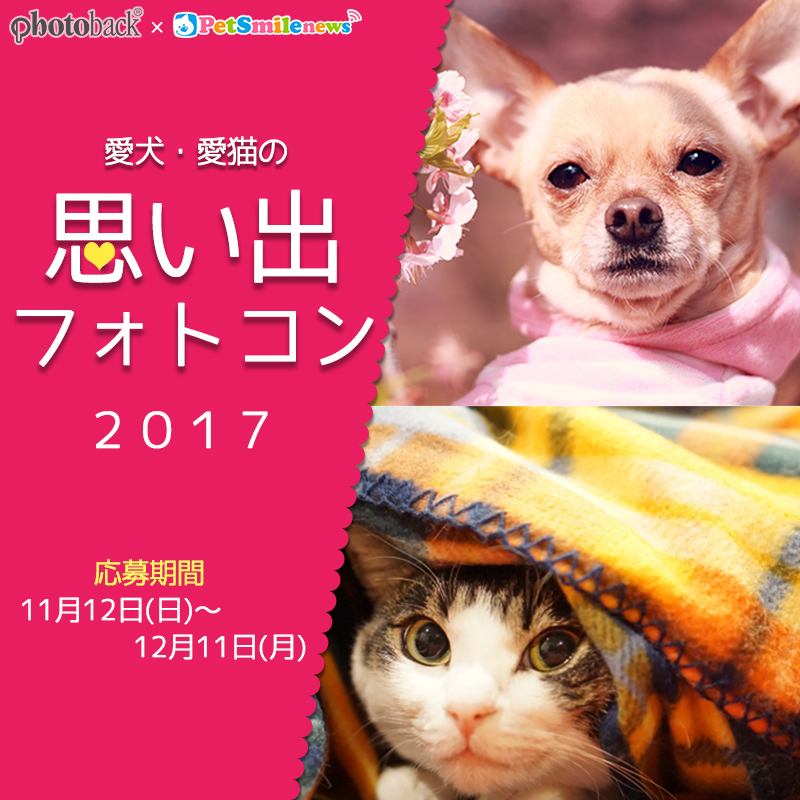 【P-1グランプリ】愛犬・愛猫の思い出フォトコンテスト！2017年の思い出写真を大募集♪