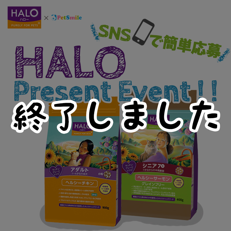 【We are HALO 第5弾】SNSイベントに参加してスーパーナチュラルフードハローをGETしよう！！！