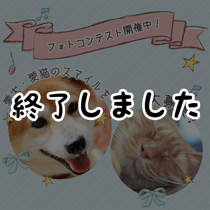 【応募終了】愛犬・愛猫・一緒に暮らしているペットの『ベストスマイル』フォトコンテスト♪わくわくの幸せ写真を大募集！
