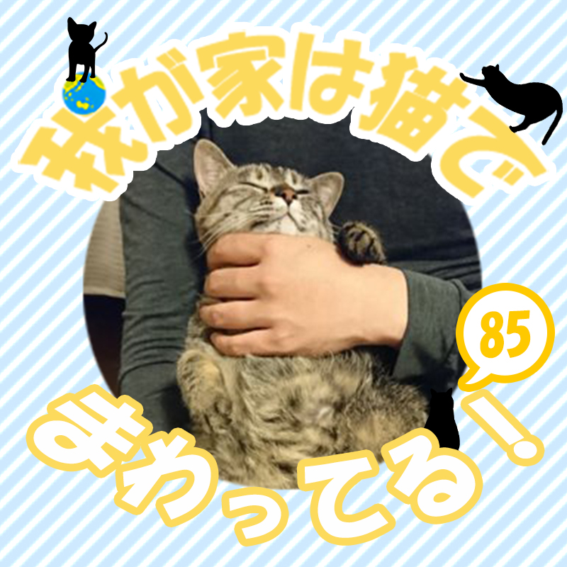 【我が家は猫でまわってる！】第８５話　お宅の猫ちゃんは抱っこが好き？嫌い？