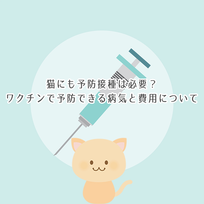 【獣医師監修】猫にも予防接種は必要？ワクチンで予防できる病気と費用について