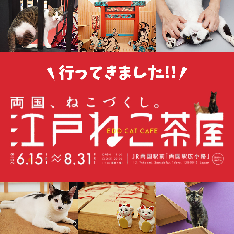 【6月15日から限定開催】猫好きにはたまらにゃい！浮世絵世界の猫カフェ「江戸ねこ茶屋」に一足早く潜入！