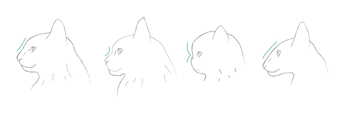 特徴のある猫の横顔イラスト