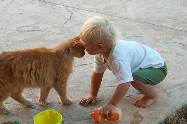 顔を近づける子供と猫