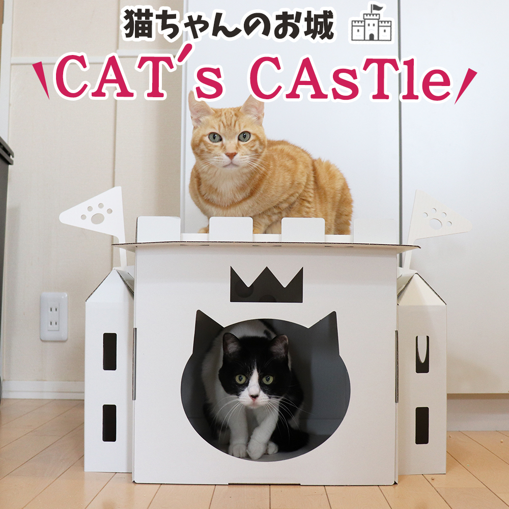 【スタッフイチオシ！猫グッズ】機能性もデザインも兼ね備えた猫ちゃんの為のお城「CAT’s CAsTle」